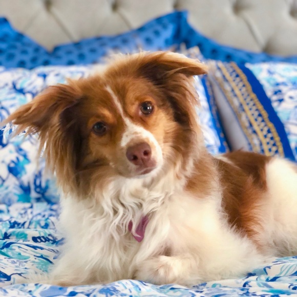 About Me! - Picture 2 of 2